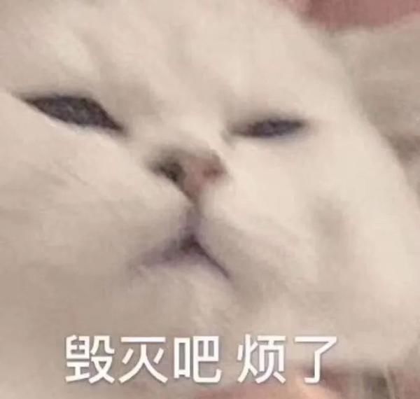  喝酒|醉酒男子拉着代驾喝酒，却不是因为酒驾被抓……你懂我意思吗？