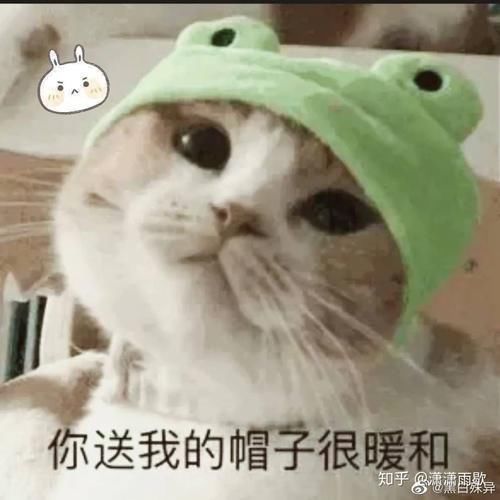 王一博|如何评价《这就是街舞》第三季第二期中王一博的表现