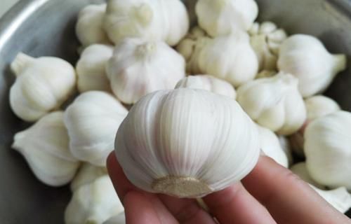  制作|奶奶腌30年的糖蒜秘方，制作简单吃着过瘾，放一年不蔫不坏还倍脆