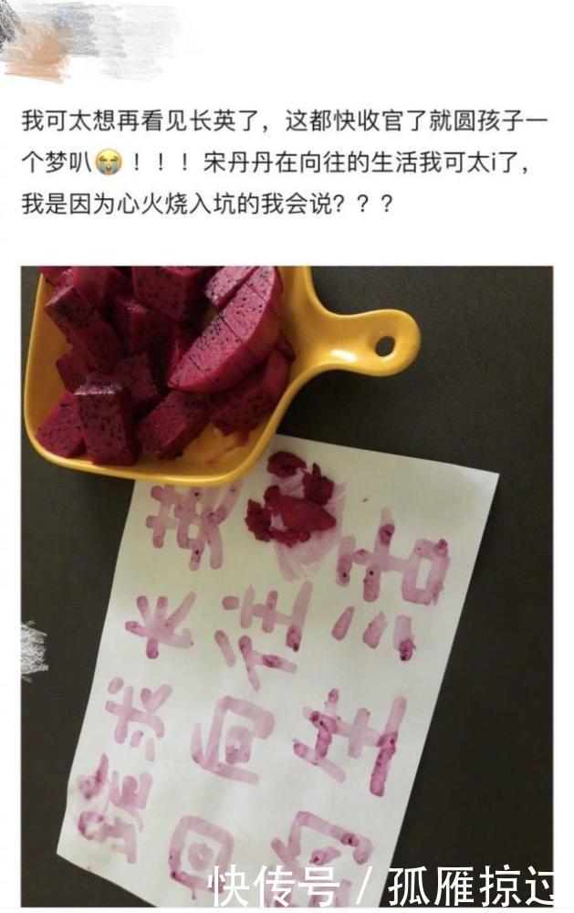 遗憾|《向往4》收官终于放大招宋丹丹回来了,大华缺席成最大遗憾