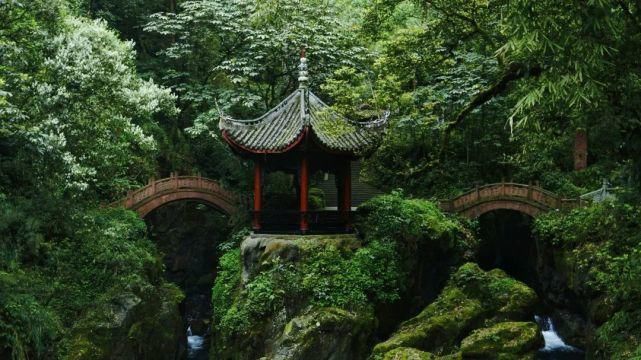  去一趟|避暑王者峨眉山，是时候去一趟了！