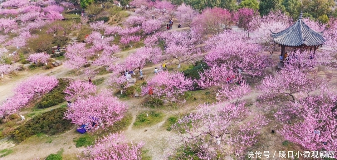  浅谈|浅谈秀丽东方IP对成都公园城市建设的借鉴作用