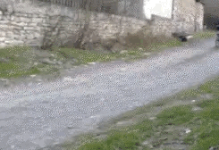  陶毅|深圳男子撞倒环卫工人后逃逸，其父想都没想就做了这事