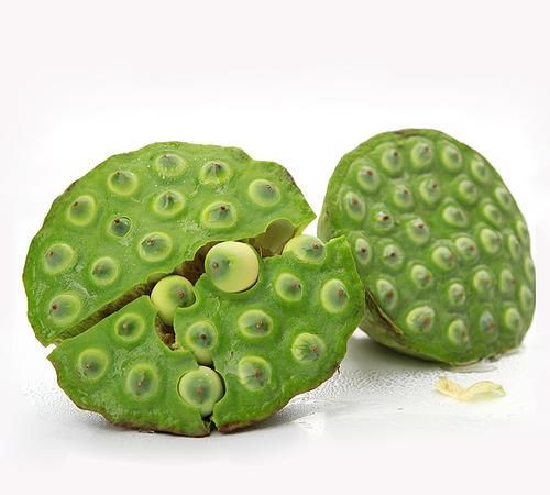  莲蓬可以|莲蓬怎么吃 常见的莲蓬吃法莲商会