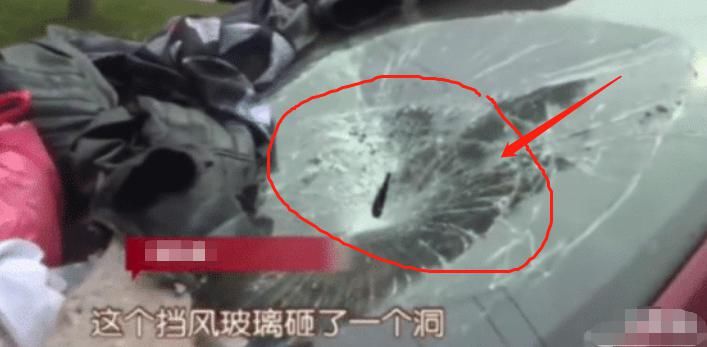  垃圾堆|车停小区门口6天没挪，车身变成“垃圾堆”，女车主看到爱车哭了