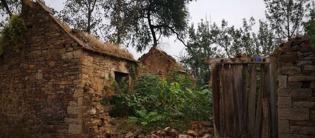 圣良庄|沂南故事(109)姚千斤姚八百斤兄弟