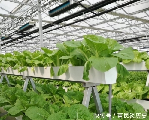 篇文章|看完这篇文章,田园综合体规划就有着落了