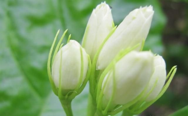  九月|九月中旬开始，财富数不清，财星入命，财运升温的生肖