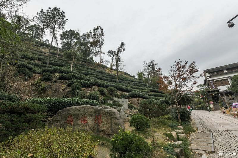  风光|畅游杭州杨梅岭，体验新颖的农家生活