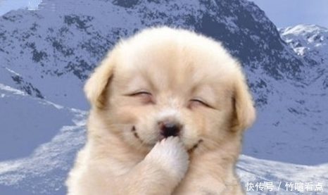 前男友|今天藏私房钱,无意间看到一个小本子,上面写着前男友。