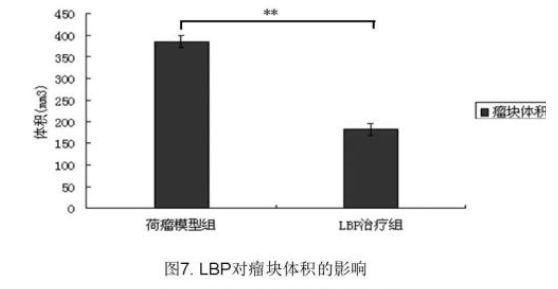  壮阳|枸杞养生、壮阳补肾的科学依据。