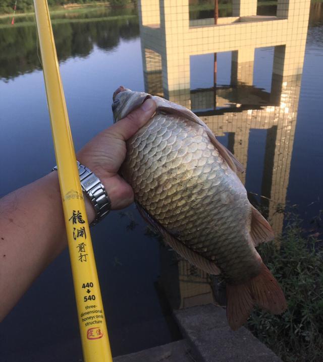 足以|竿梢常指水,足以慰风尘