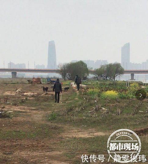  被迫|崩溃女子惨遭一群狗围攻，被迫逃入江中伤口触目惊心