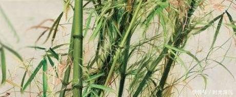 冷军的竹子|冷军用油画画竹子,我是第一人,中国人没画过,西方人不会画!