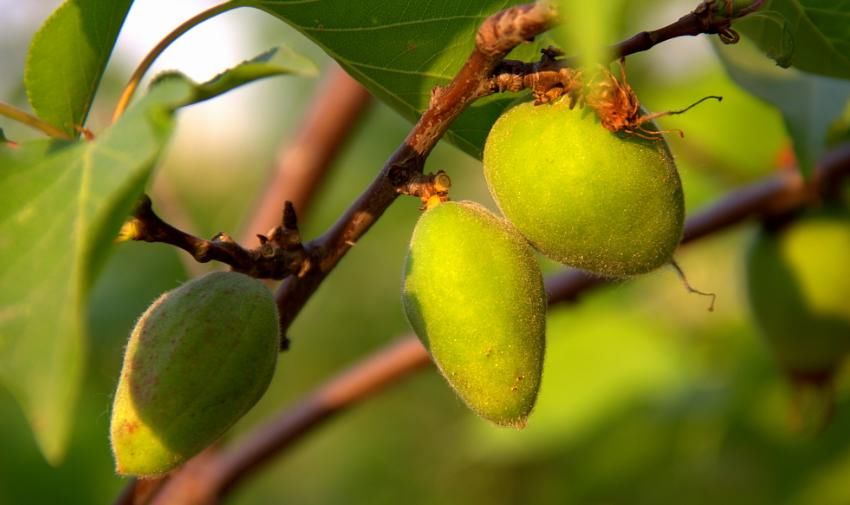 孤独|不愿“将就”的四个生肖女，哪怕孤独终老一辈子，也不愿随随便便