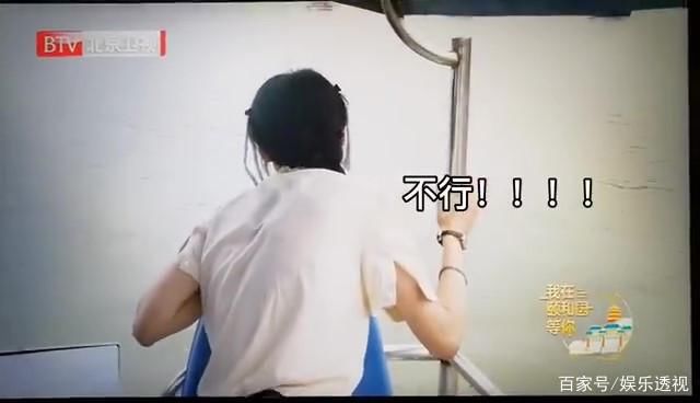  手机|郑爽手机掉湖里了,反应过于真实戳中笑点,与王鹤棣对话引大笑