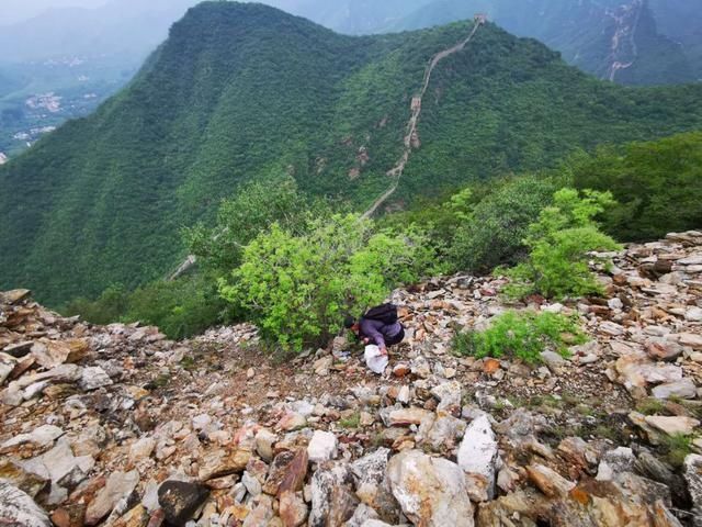  年轻人|他们给长城清垃圾，两侧常是峭壁！“年轻人干不了”