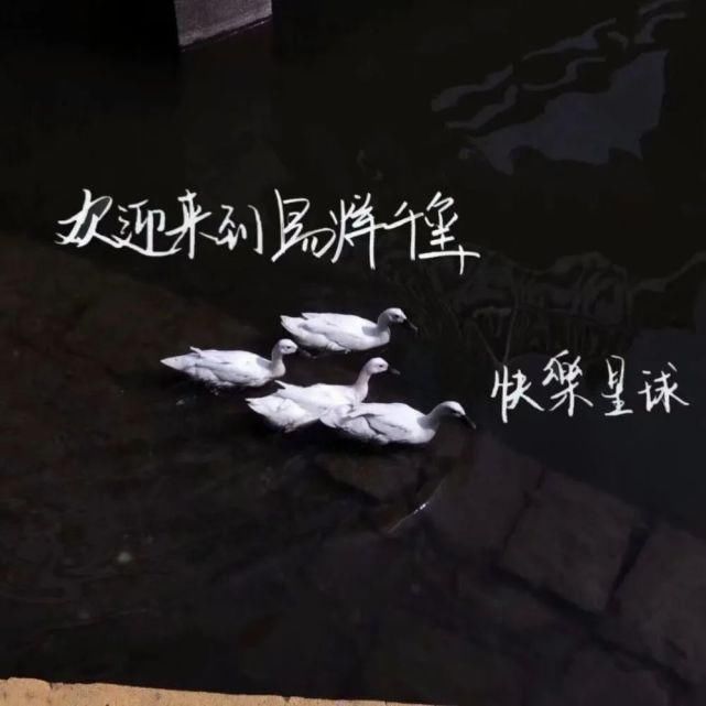  習慣|背景 | “放不下的只是習慣”