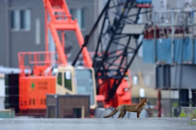  赛级|赛级摄影作品讲述的也不过是不同的生活罢了