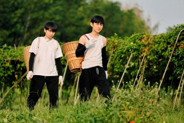  丹丹|四季过去了，它还是国内最治愈的慢综艺