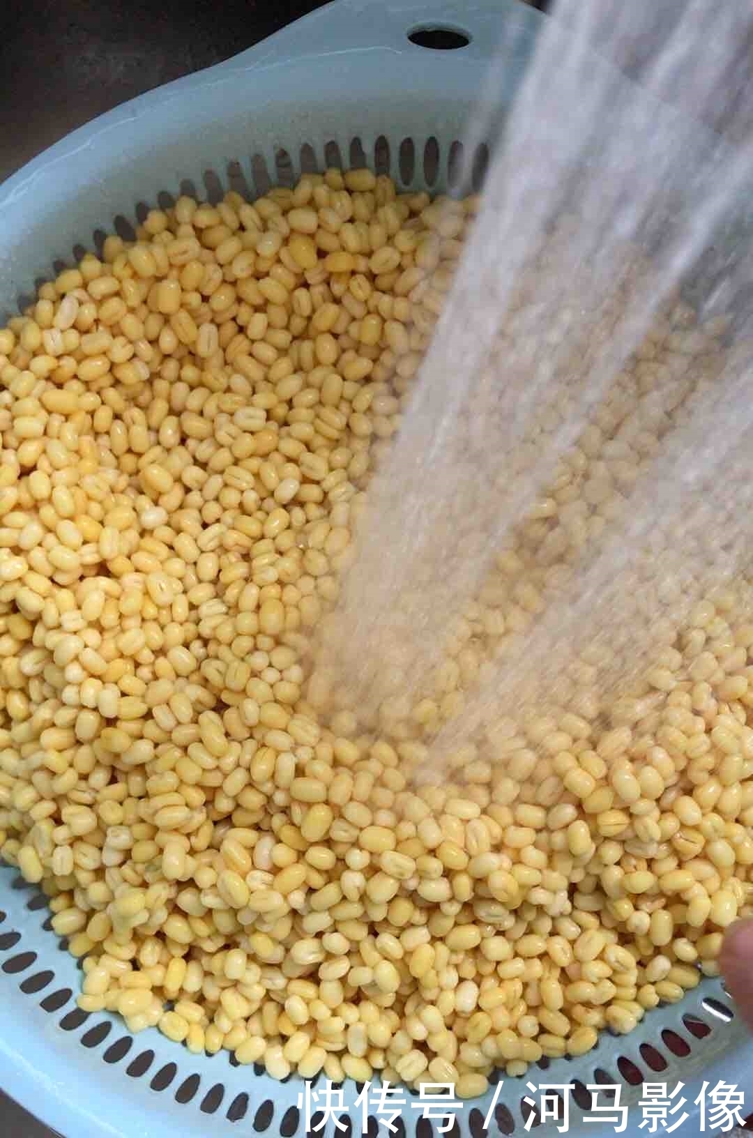 孩子|绿豆这样做,比煮粥还好吃,还没端上桌就被孩子们抢光了