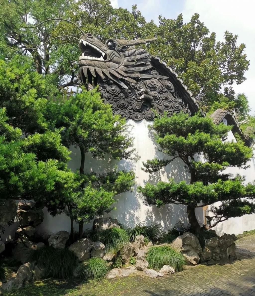  留言|留言有礼 | 扒一扒《乘风破浪的姐姐》里那些“作”出花样儿的上海姐姐~