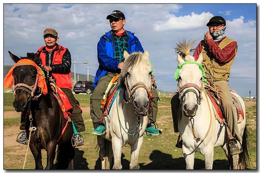  可可西里|影像记忆·独闯西藏的女生，由可可西里失联事件想起的往事