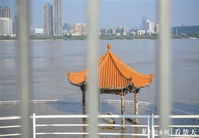 洪水|洪水“标尺” 武昌黄花矶凉亭在江水中露真颜