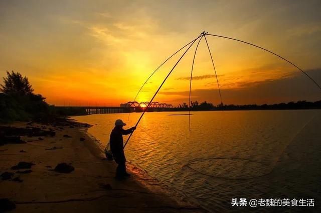 细嫩|酱焖嘎牙子，肉质细嫩，味道浓郁鲜香，做法简单，只需几分钟。