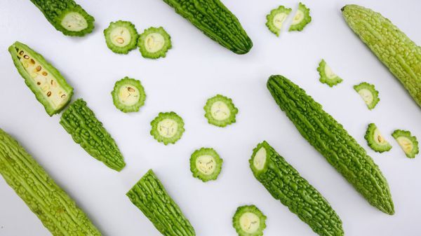  适量|冰镇苦瓜、苦瓜酿肉