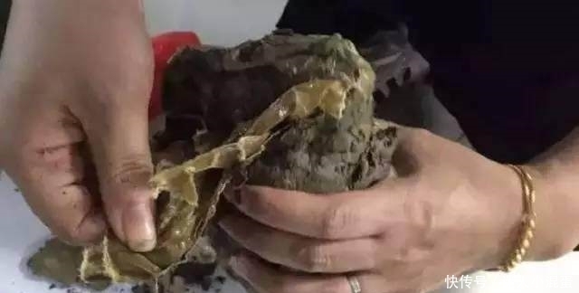 一连|吃货美女逛街遇到叫花鸡,一连买了五只,打开后结果让她傻眼了