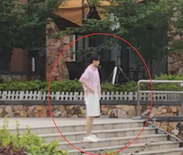  刘宇宁|《中餐厅》放大招，王俊凯回归不算啥，飞行嘉宾全是顶级流量