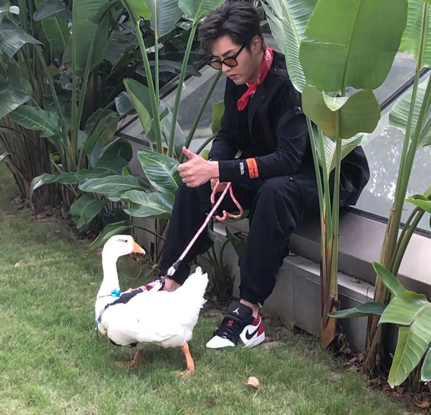  教导|《潮玩人类在哪里》路透，吴亦凡当街遛鹅，还教导鹅不要乱吃草