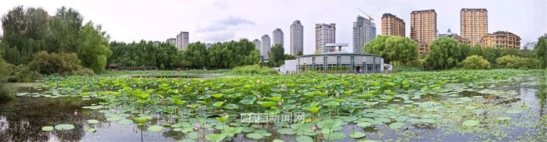 气温|冷空气安排上了！｜3日有中雨，最高气温下滑到“2”字头