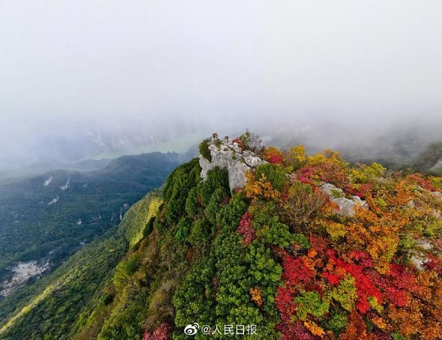  迎来|美！重庆巫峡红叶迎来最佳观赏季