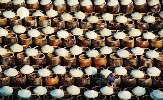 海中|中国这个美丽海滨！城在海中、海在城中，藏着绝妙生活却少有人知