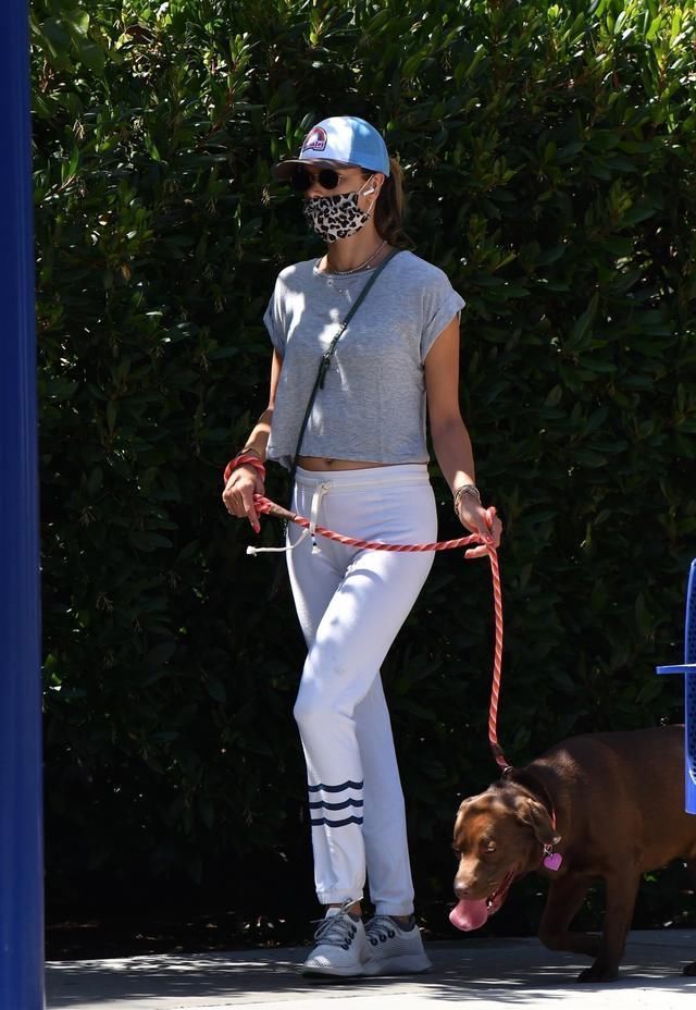  魅力|明星扎堆带狗狗逛街，超模PK女富豪，谁的魅力更胜一筹