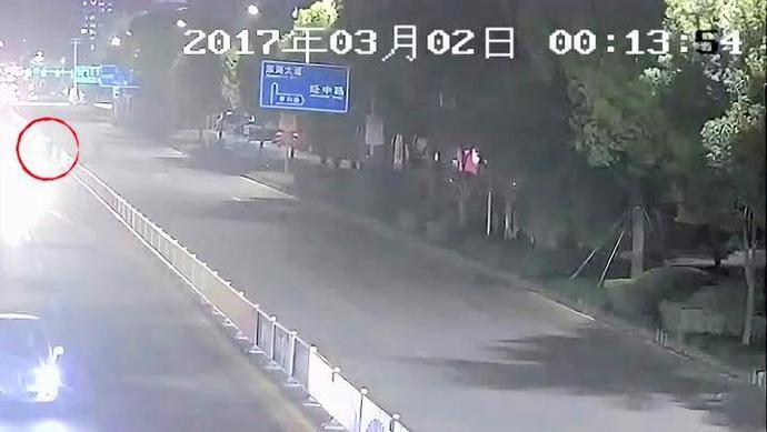 斑马线|“刷新”斑马线！守护“黑白线”上的多彩生命！