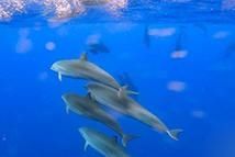  子公司|龙睿公司已完成8户子公司退休人员社会化管理移交工作