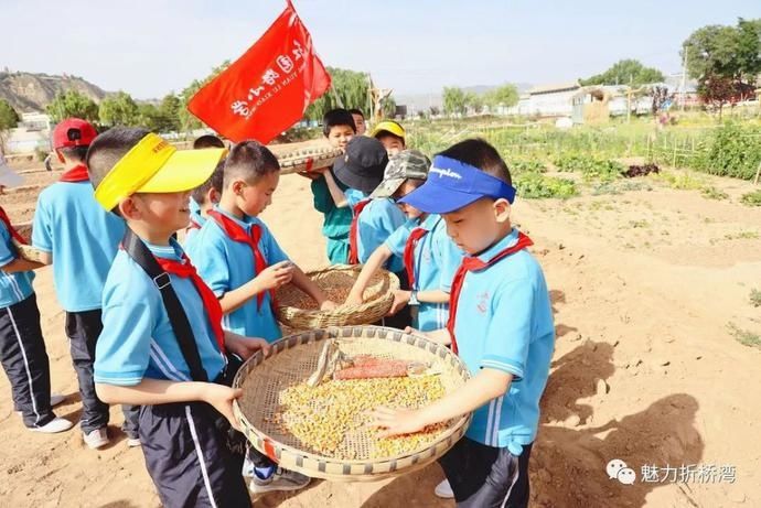  诗意|你与李子柒的诗意生活，只差一个“慈王农庄”！