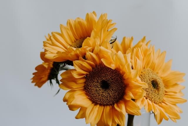  排行榜|十二星座男颜控排行榜，天秤座：颜值能当饭吃