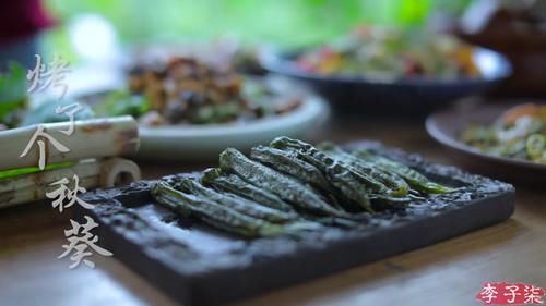 拍进|李子柒暴露本性！乱七八糟的面也拍进视频