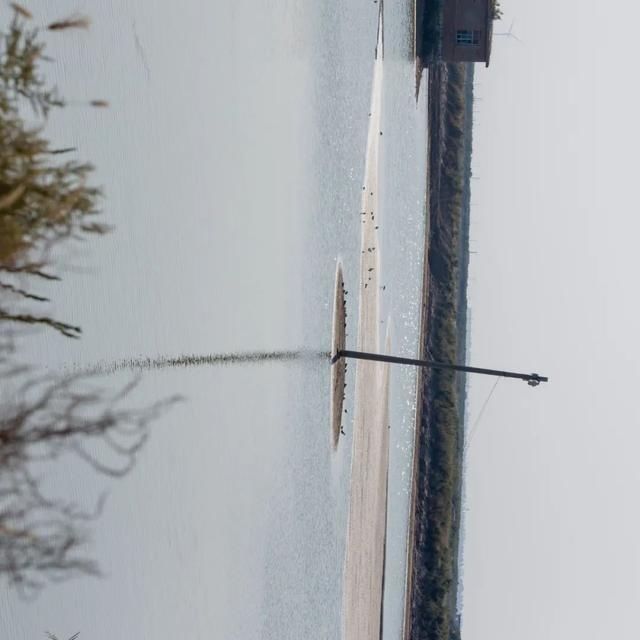 shui|陈燕:光不度,shui水成文