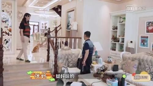 家务|《做家务的男人》第二季开播!张继科对狗的热情让父母吃醋!