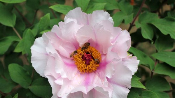  远离|想要福报多多，远离以下4种人，你就能修身修心得福报