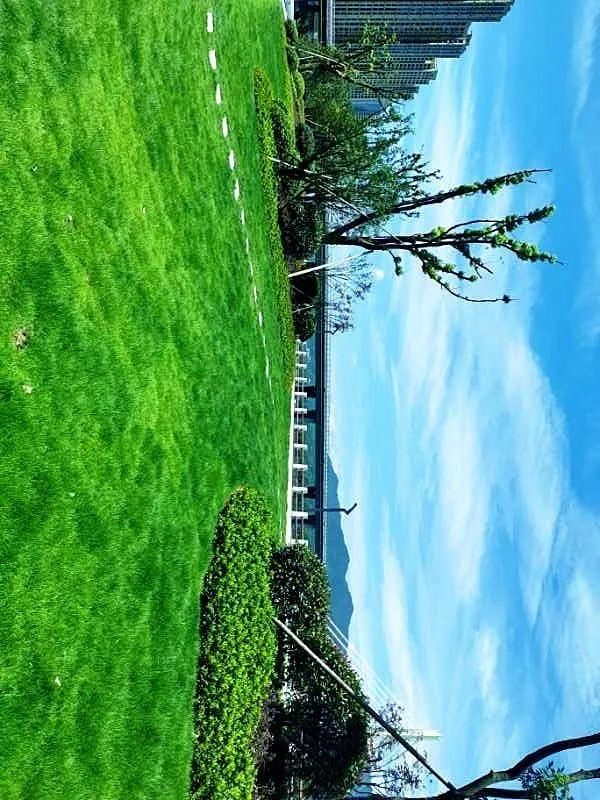  桐庐|这里将新增一条绝美道路，从杭州主城区一路通往桐庐！