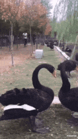 妹子|“妹子,你腰上的纹身真有个性,看得我脸红了”好一个出入平安啊哈哈哈