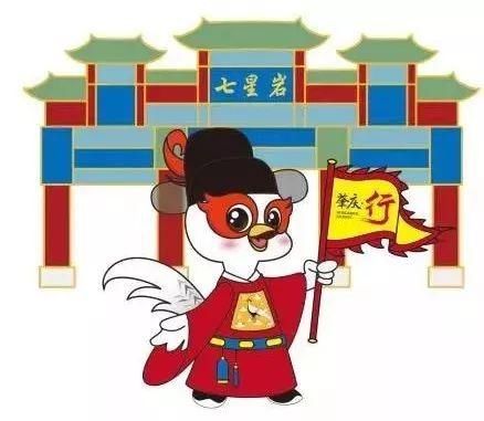 野生鸟类|艺术照曝光!肇庆竟藏有这么多野生“精灵”,很多没见过……