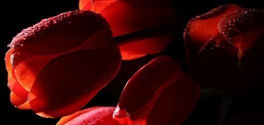  星座|没人理解，也不想表达，镇定从容的星座，哪怕再艰苦，也能熬过去