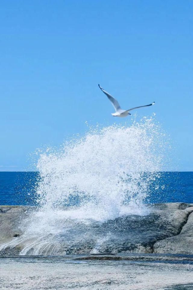  风景|塔斯马尼亚 | 世界尽头那颗绿色的心，是我念念不忘的风景